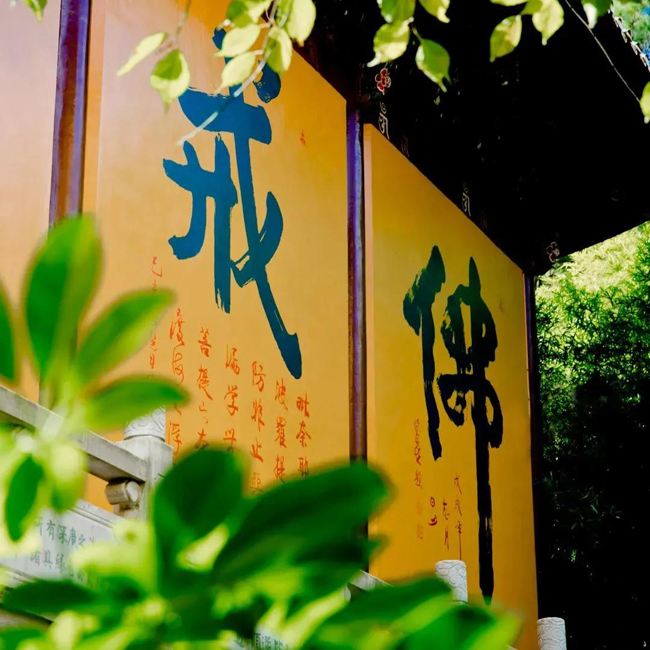 观音菩萨亲临加持,从此我的“大象腿”也能“跏趺坐”了