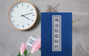 《佛说除眼障经》